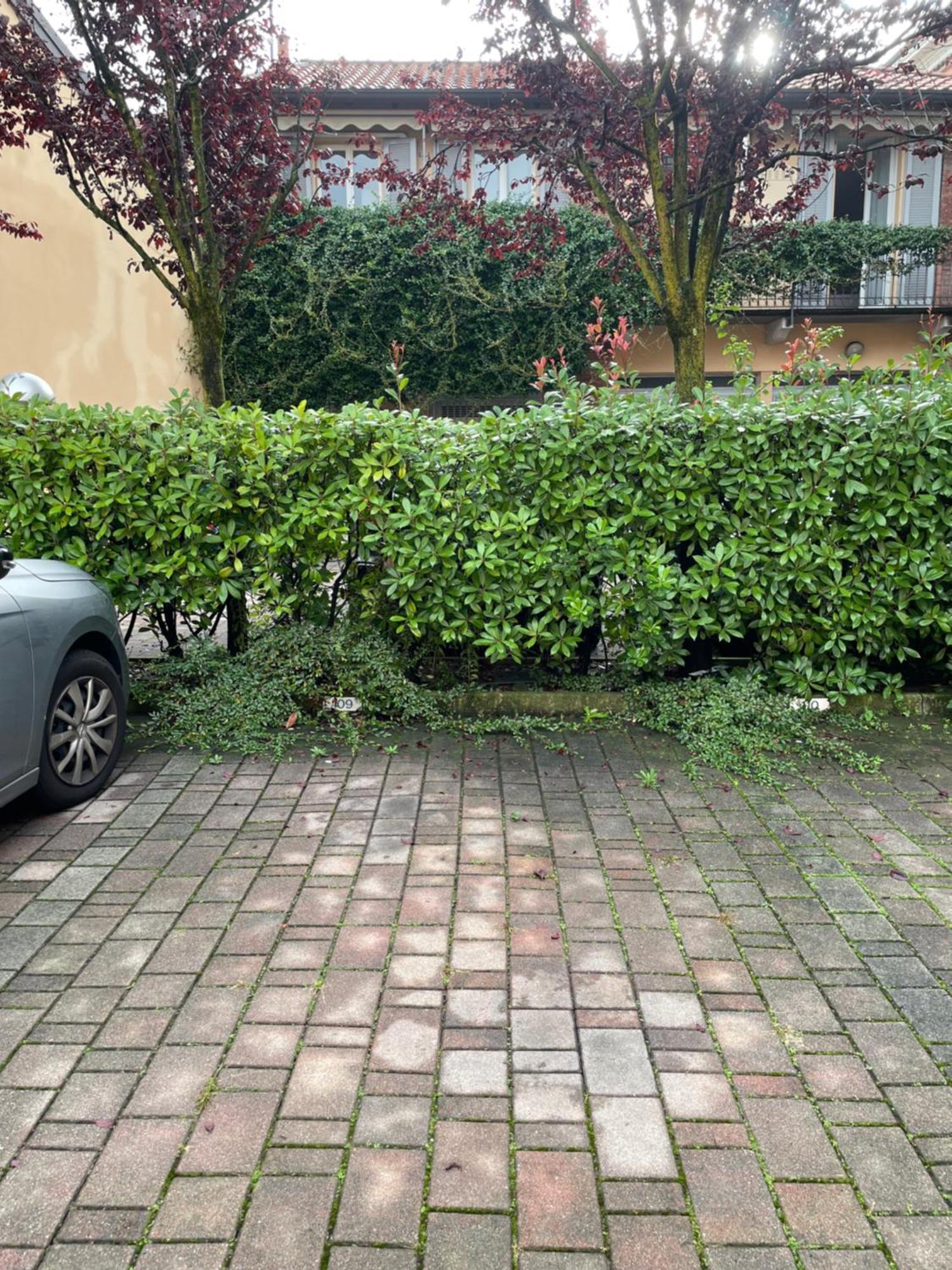 Gelsomino Appartamento Con Posto Auto Nel Centro Di Monza Ngoại thất bức ảnh